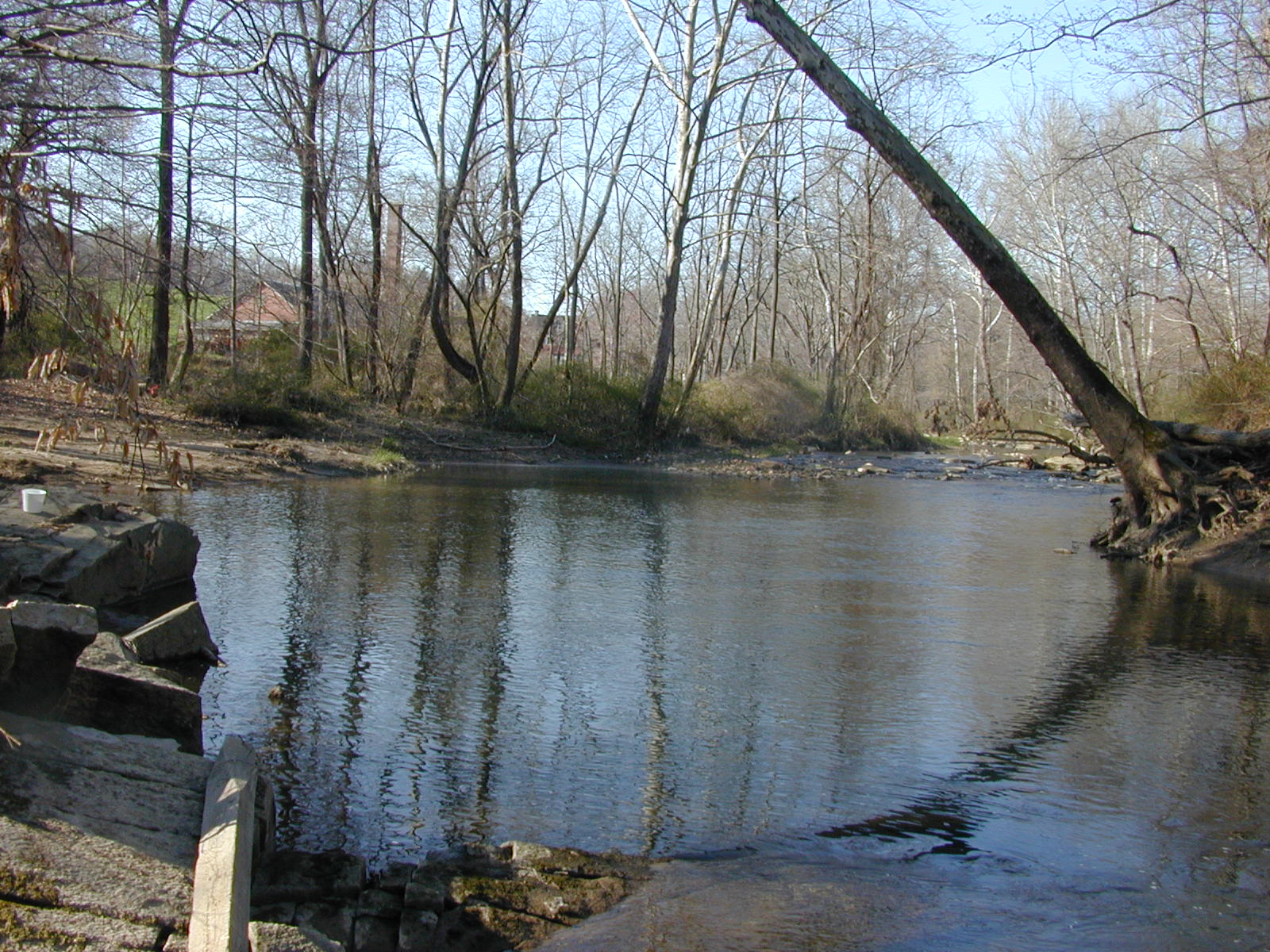 Field photo showing stream conditions at site LIEL-318-R-2003-1009