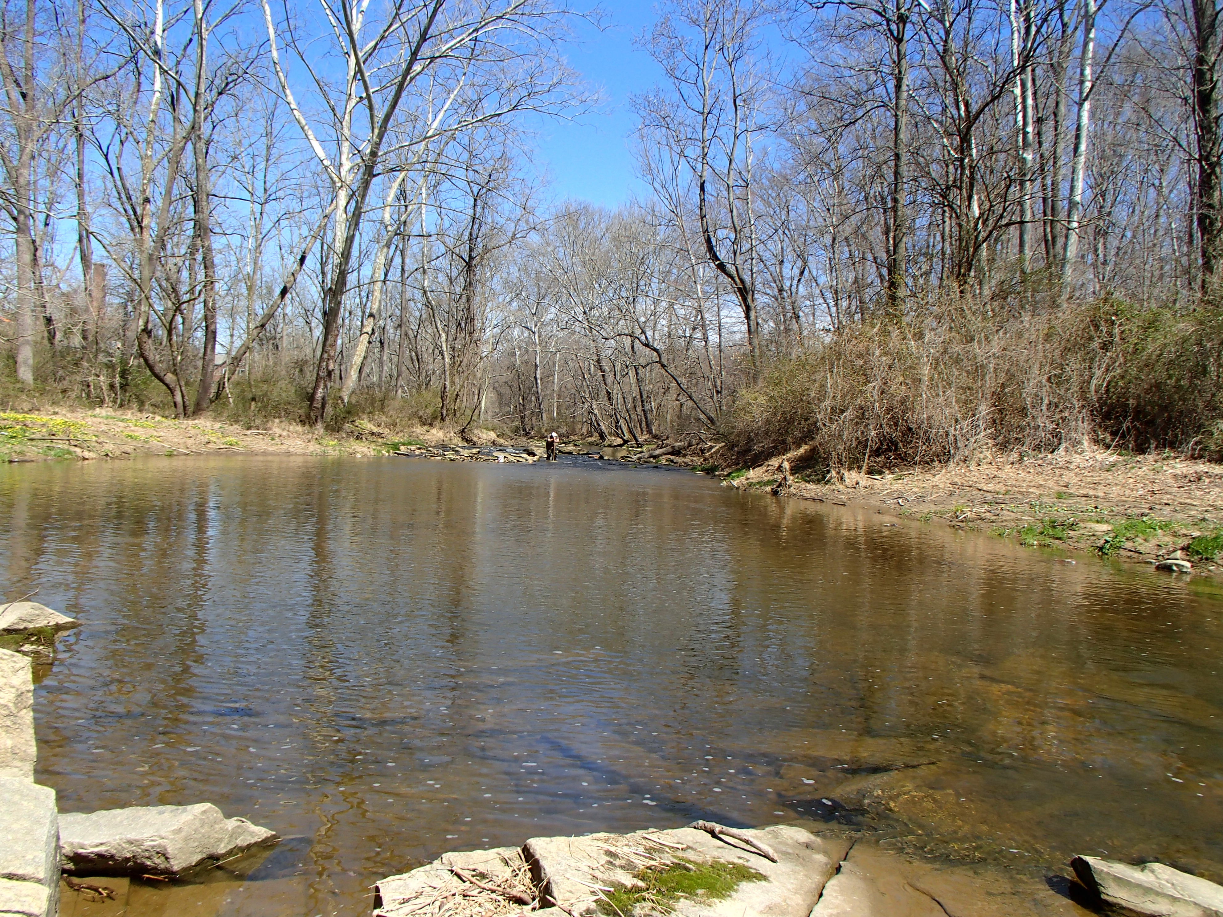 Field photo showing stream conditions at site LIEL-318-R-2017-MidpointFacingUpstream