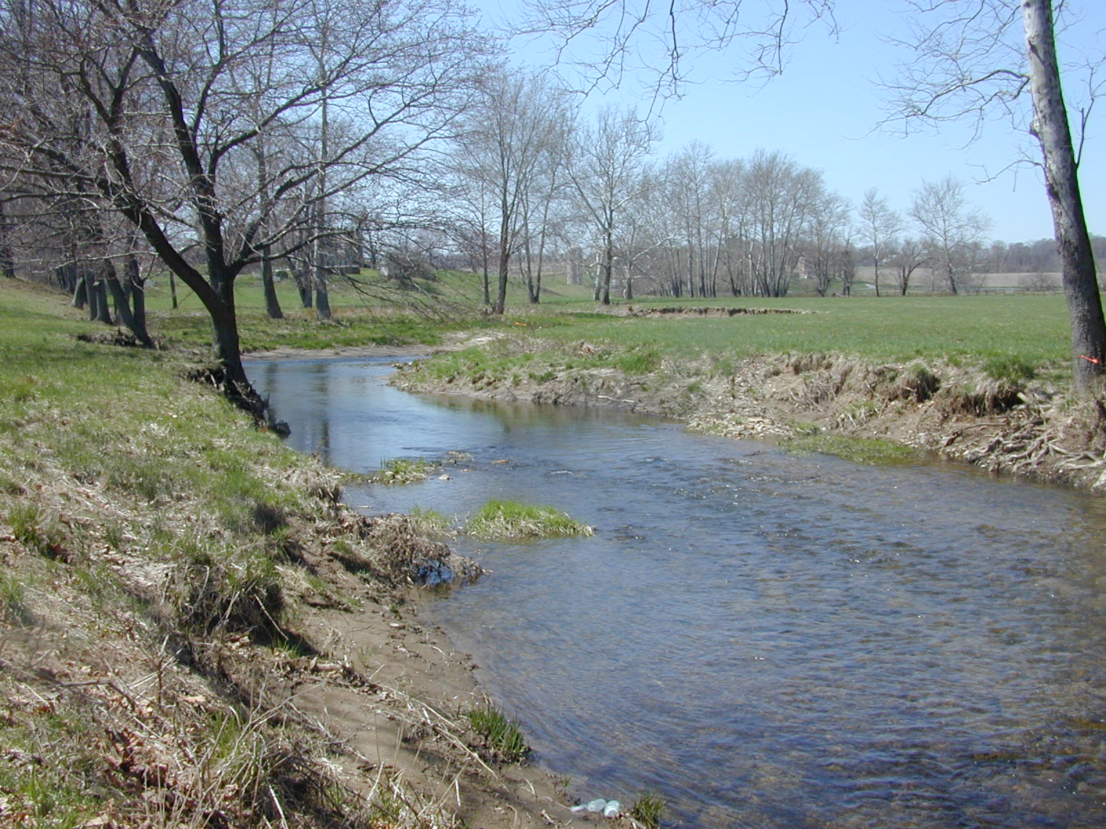 Field photo showing stream conditions at site LIEL-325-R-2003-1004
