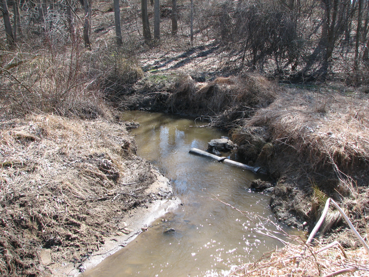 Field photo showing stream conditions at site LIGU-101-R-2008-1