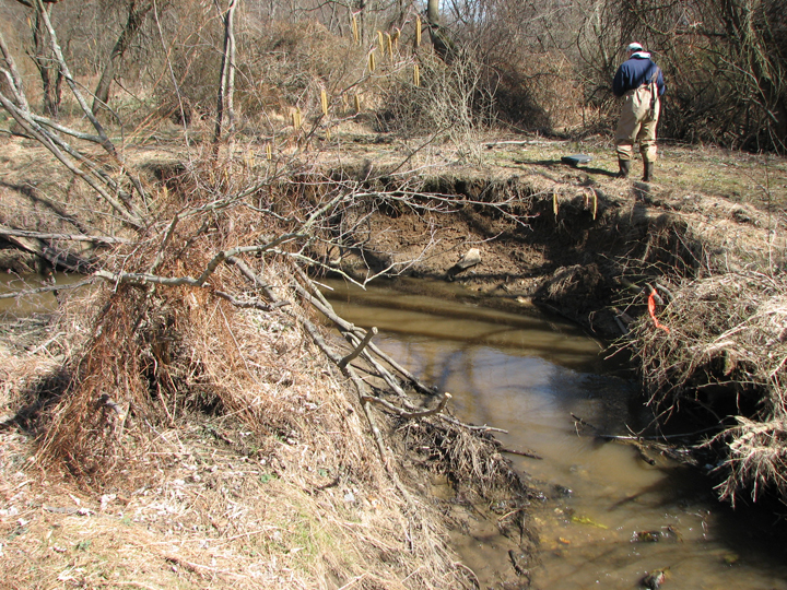 Field photo showing stream conditions at site LIGU-101-R-2008-2