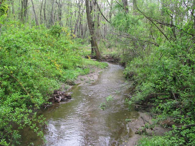 Field photo showing stream conditions at site LIGU-101-X-2013-1