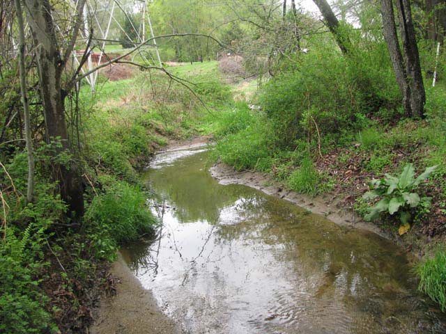 Field photo showing stream conditions at site LIGU-101-X-2013-2