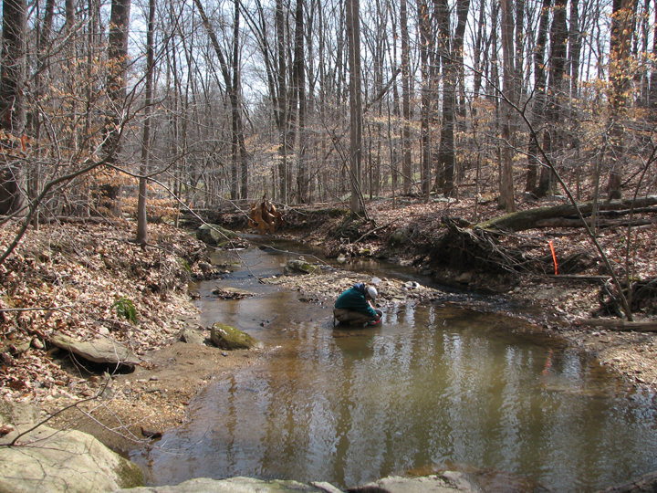 Field photo showing stream conditions at site LIGU-102-R-2008-1