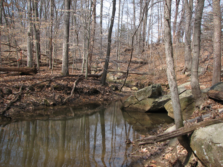 Field photo showing stream conditions at site LIGU-102-R-2008-2