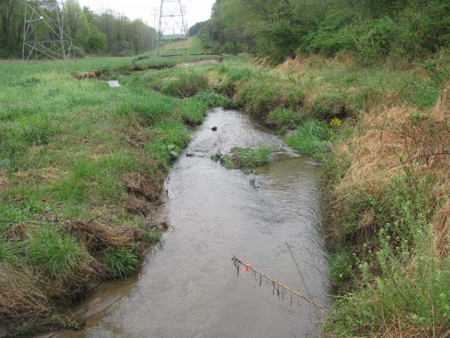 Field photo showing stream conditions at site LIGU-102-X-2013-1