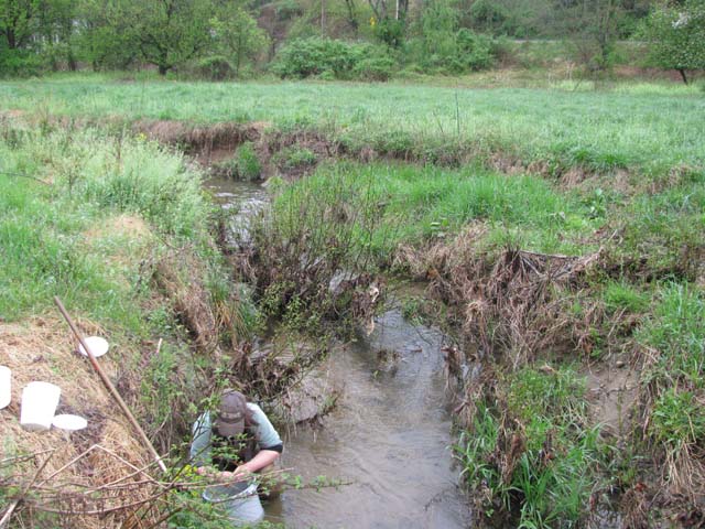 Field photo showing stream conditions at site LIGU-102-X-2013-2