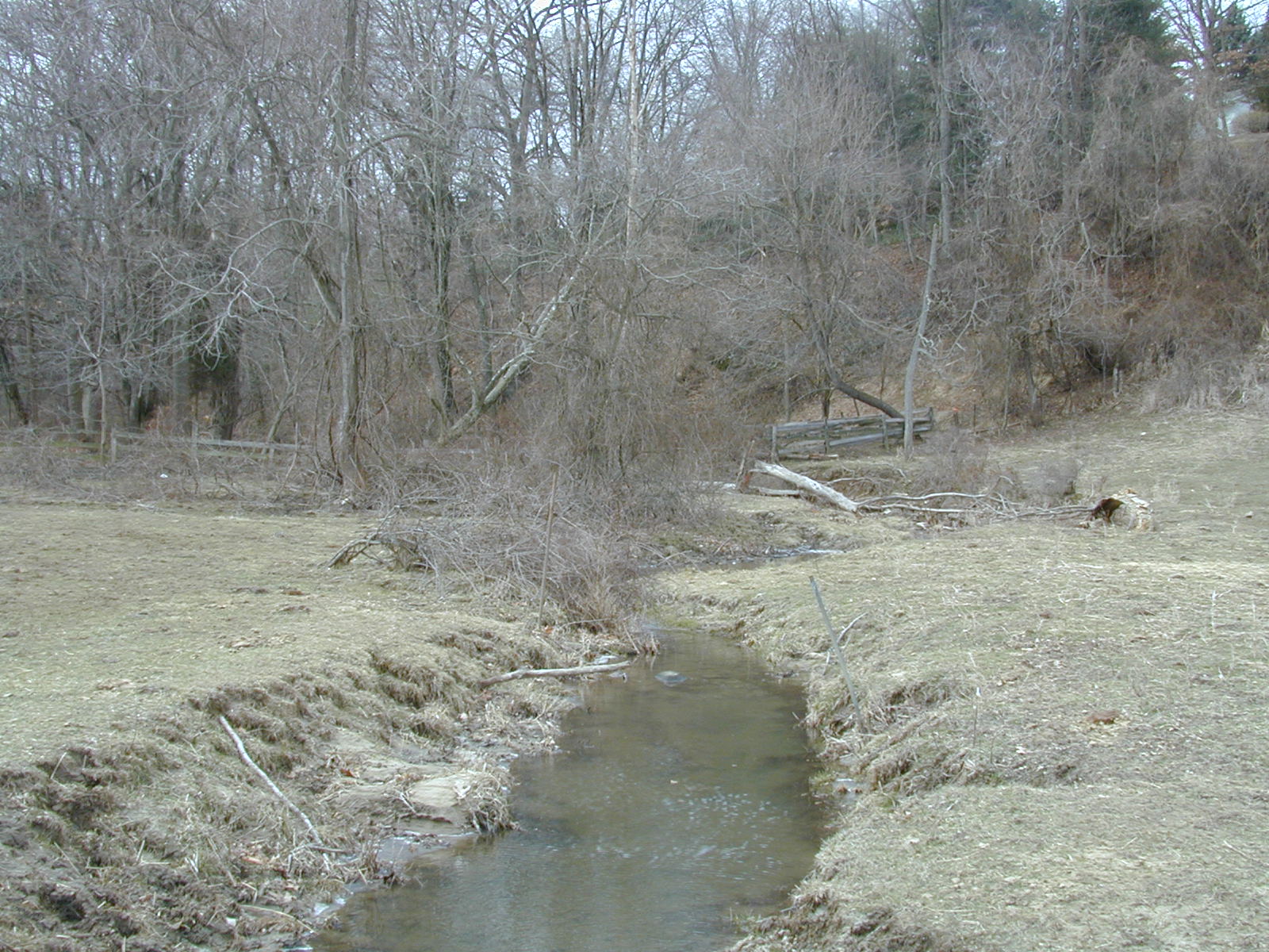 Field photo showing stream conditions at site LIGU-103-R-2001-1