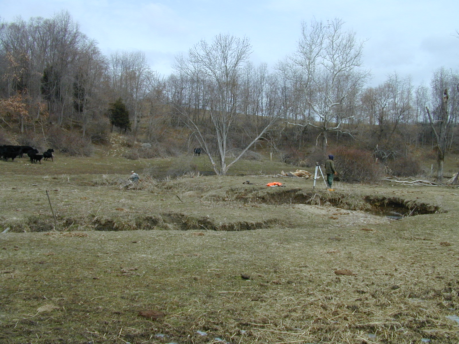 Field photo showing stream conditions at site LIGU-103-R-2001-2
