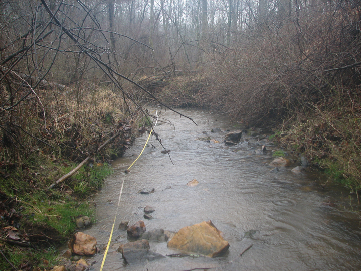 Field photo showing stream conditions at site LIGU-103-R-2008-1