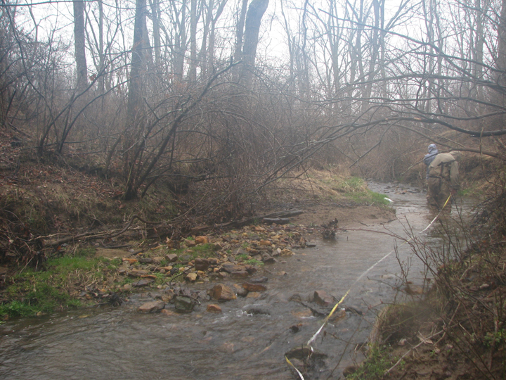 Field photo showing stream conditions at site LIGU-103-R-2008-2
