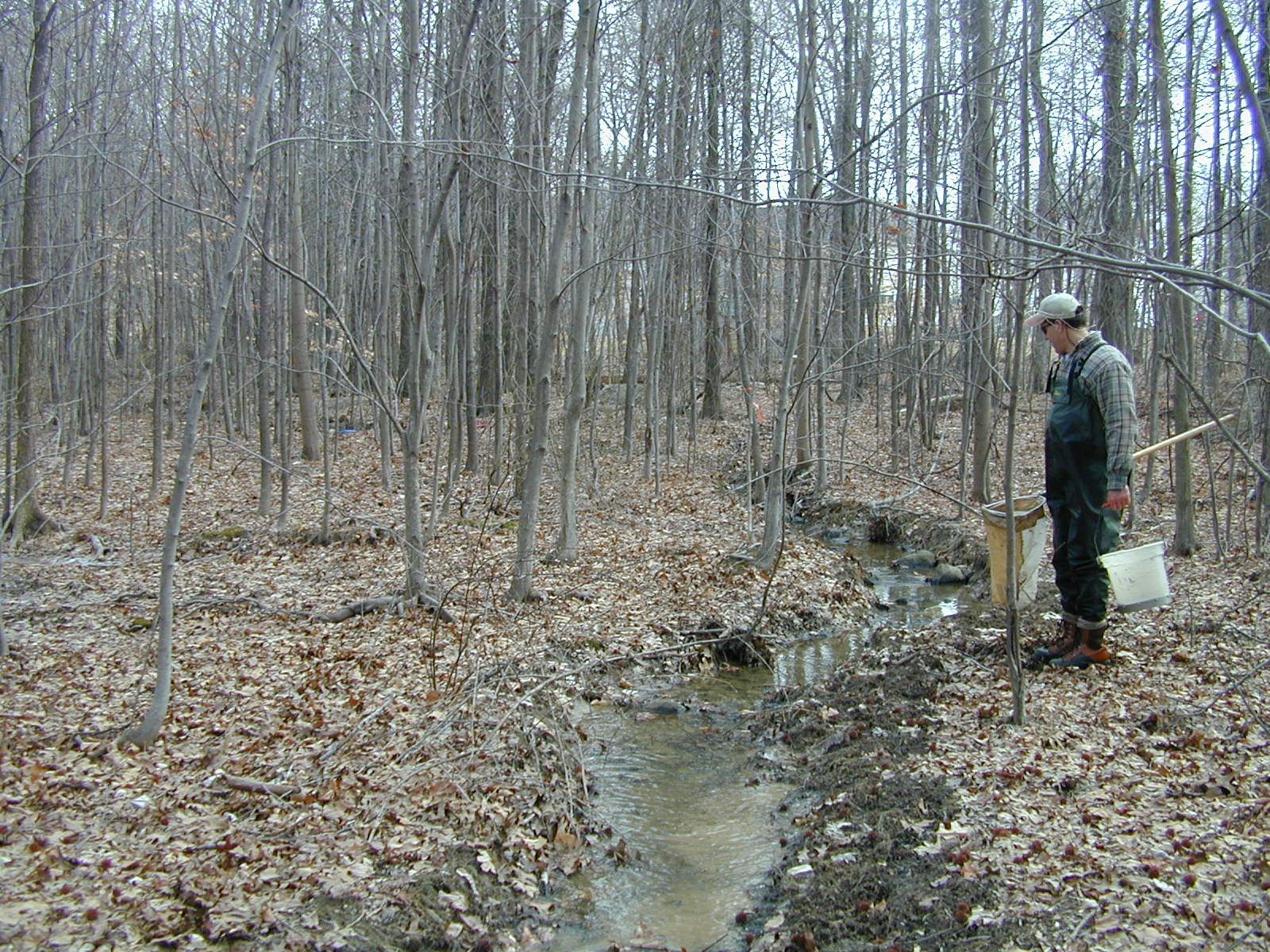 Field photo showing stream conditions at site LIGU-104-R-2001-2