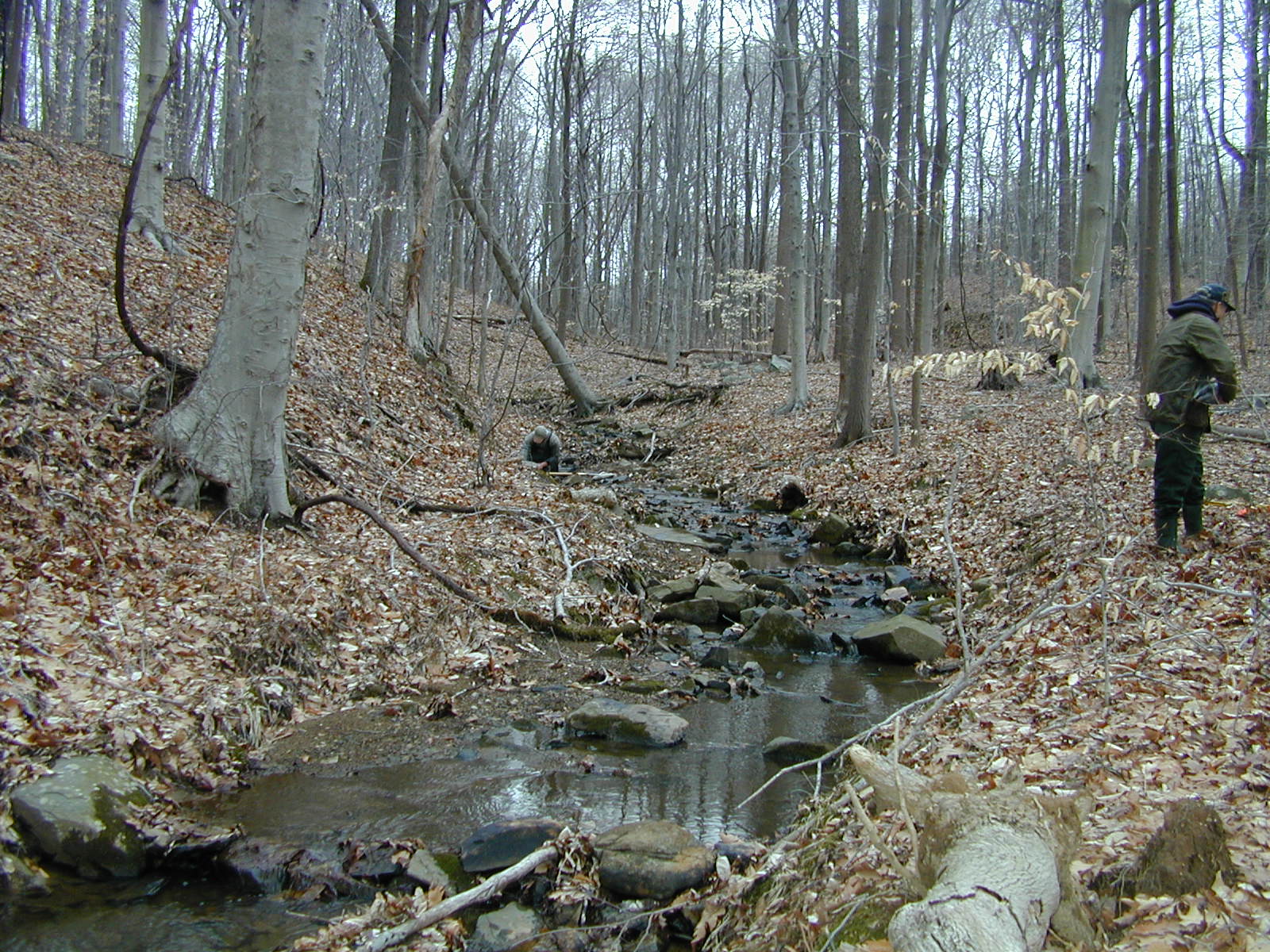 Field photo showing stream conditions at site LIGU-105-R-2001-1