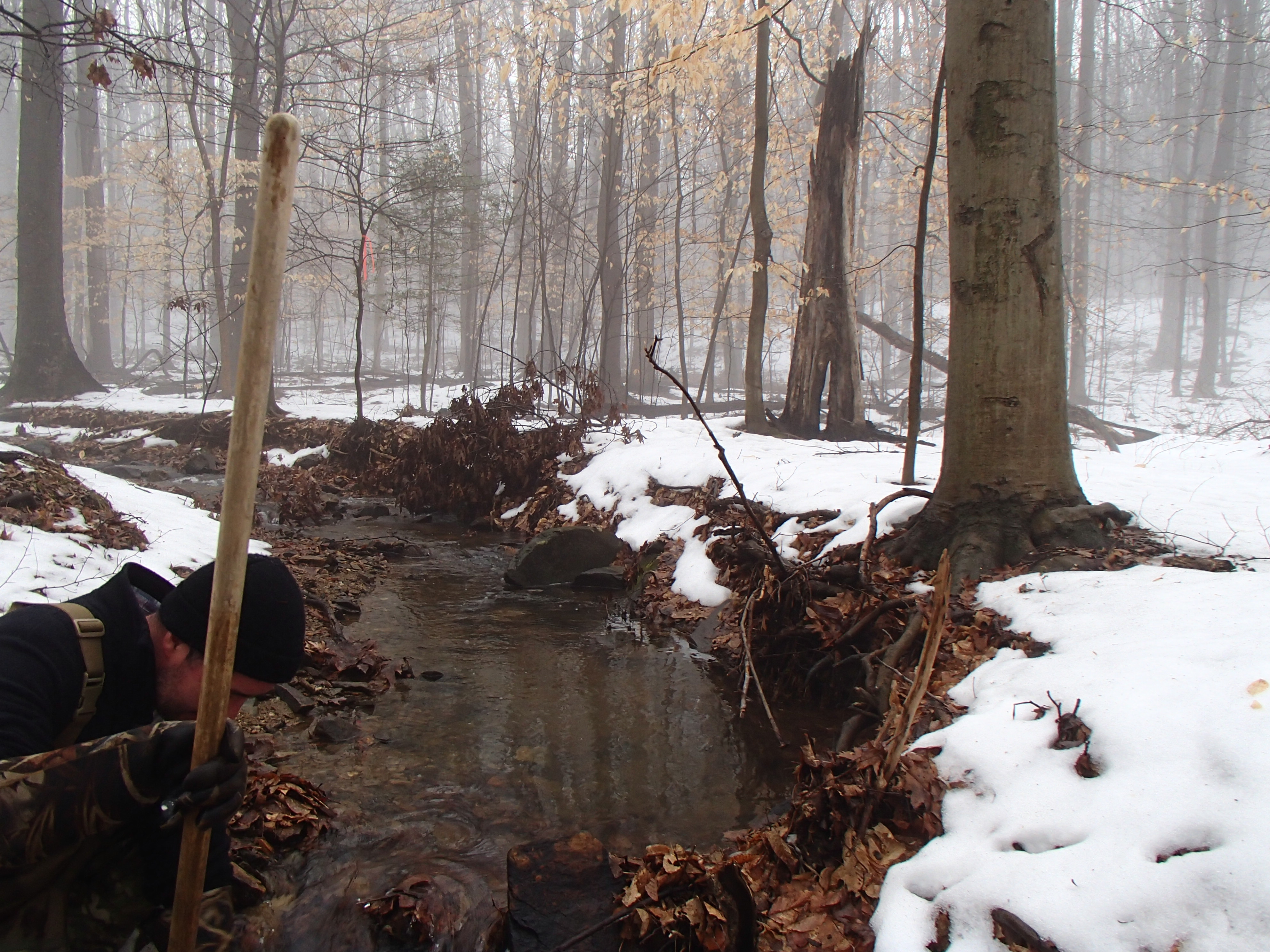 Field photo showing stream conditions at site LIGU-105-R-2015_Midpoint-looking-upstream
