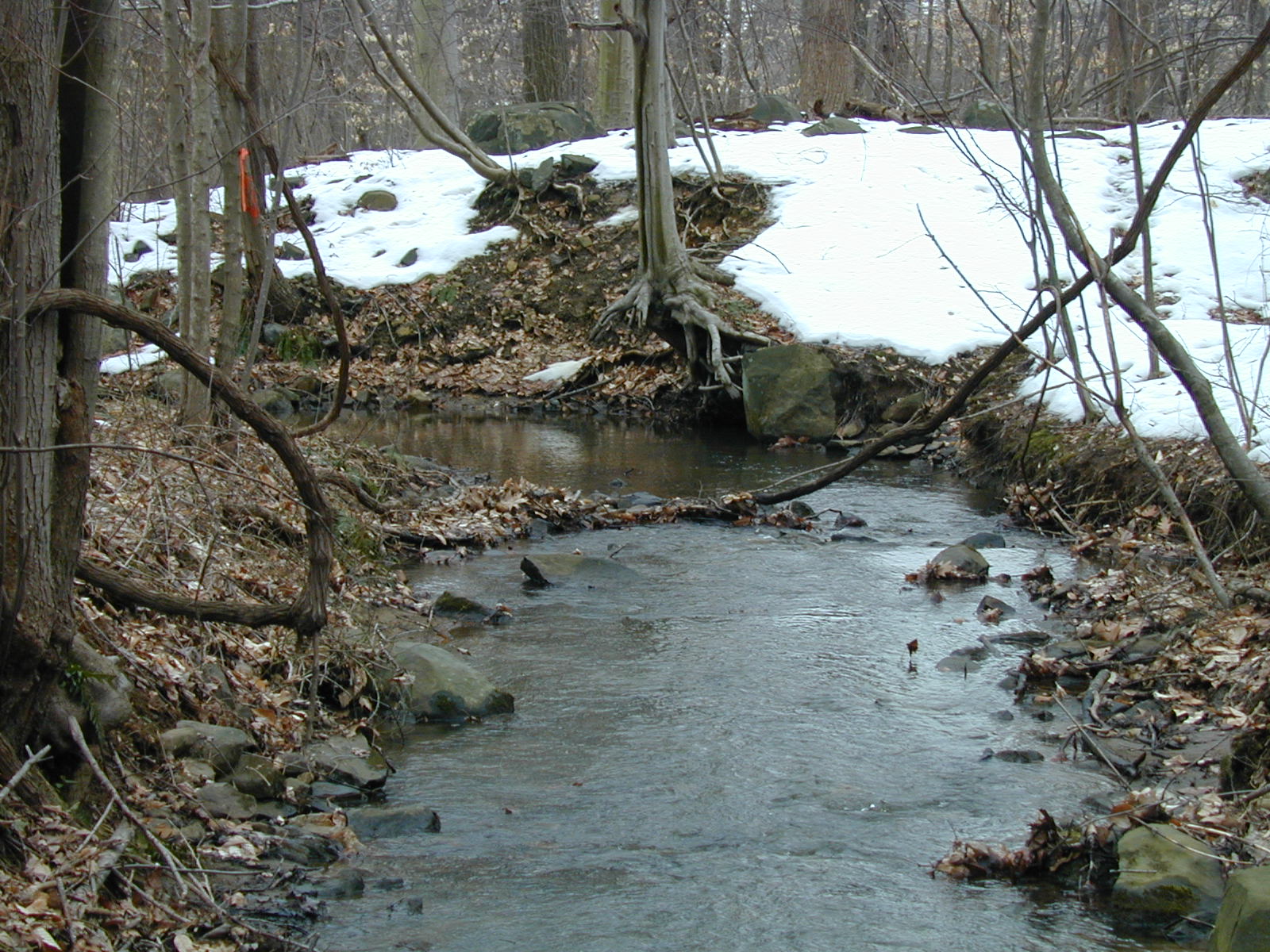Field photo showing stream conditions at site LIGU-108-R-2003-678