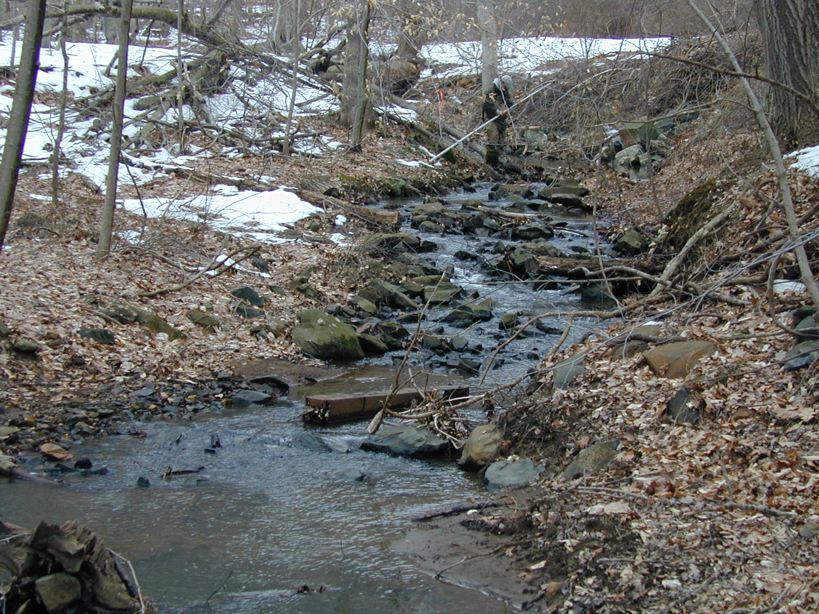 Field photo showing stream conditions at site LIGU-108-R-2003-679