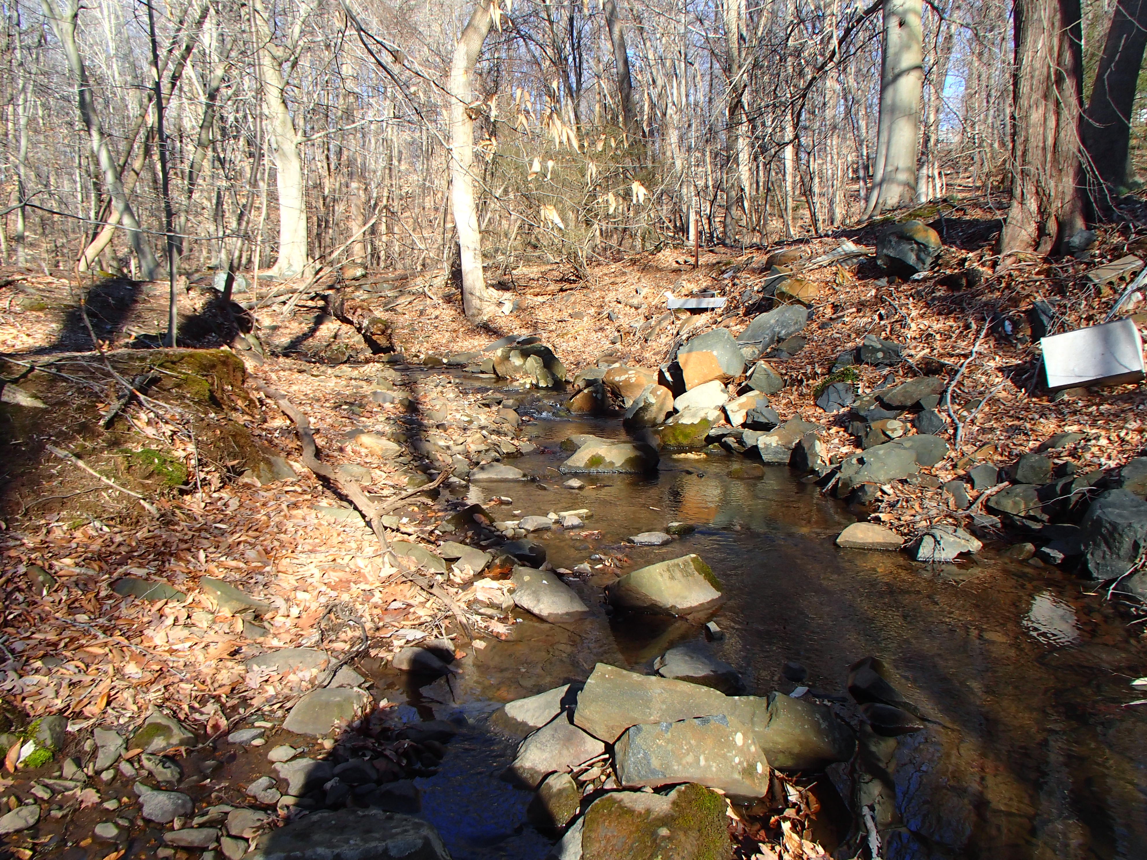 Field photo showing stream conditions at site LIGU-108-R-2017-MidpointLookingUpstream