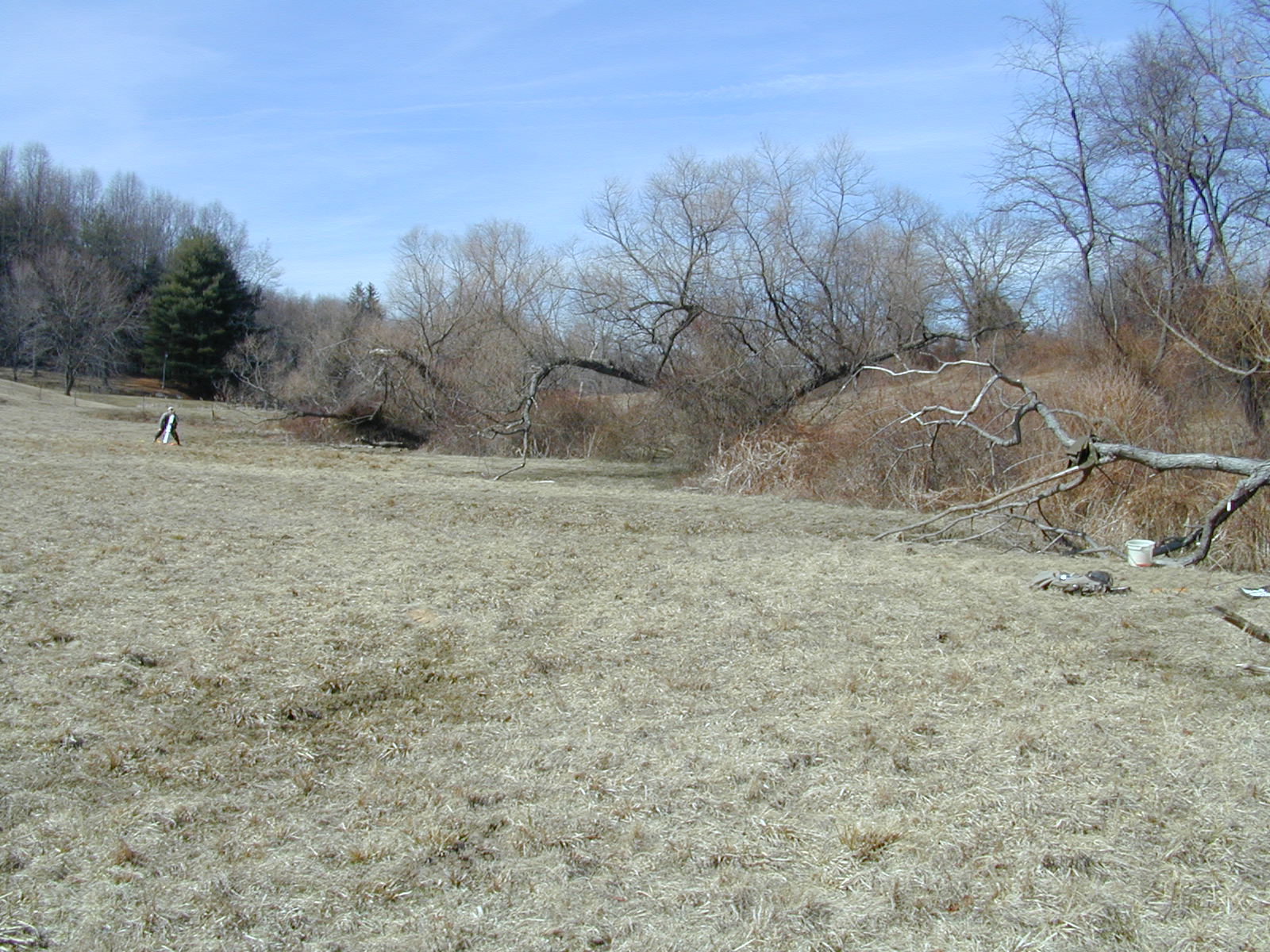 Field photo showing stream conditions at site LIGU-109-R-2001-1