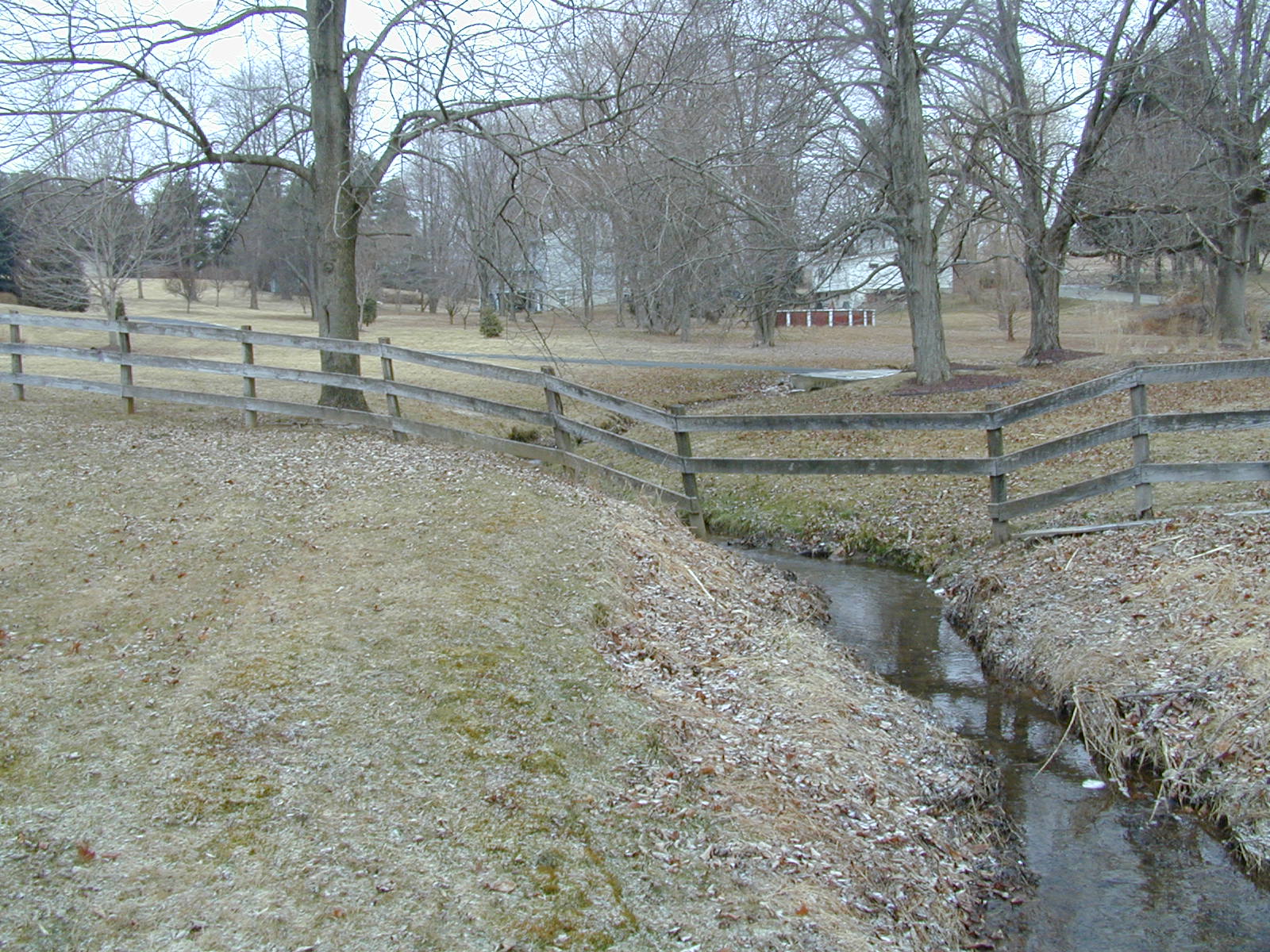 Field photo showing stream conditions at site LIGU-110-R-2001-1