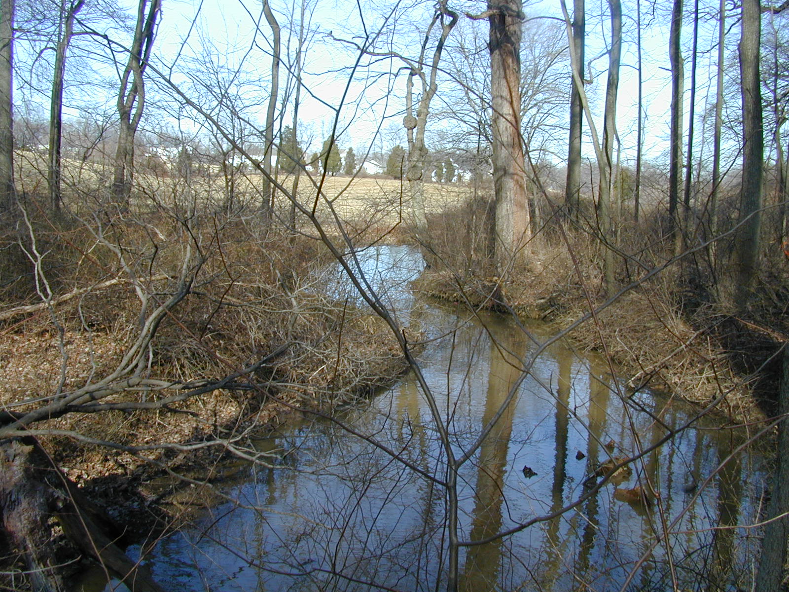 Field photo showing stream conditions at site LIGU-111-R-2001-2