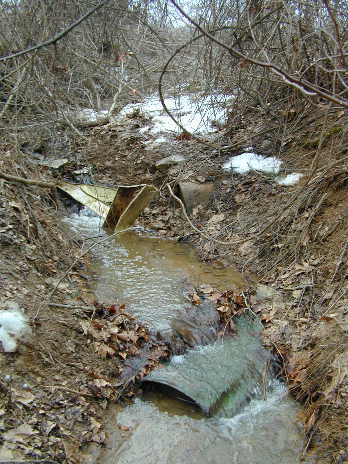 Field photo showing stream conditions at site LIGU-113-R-2003-686
