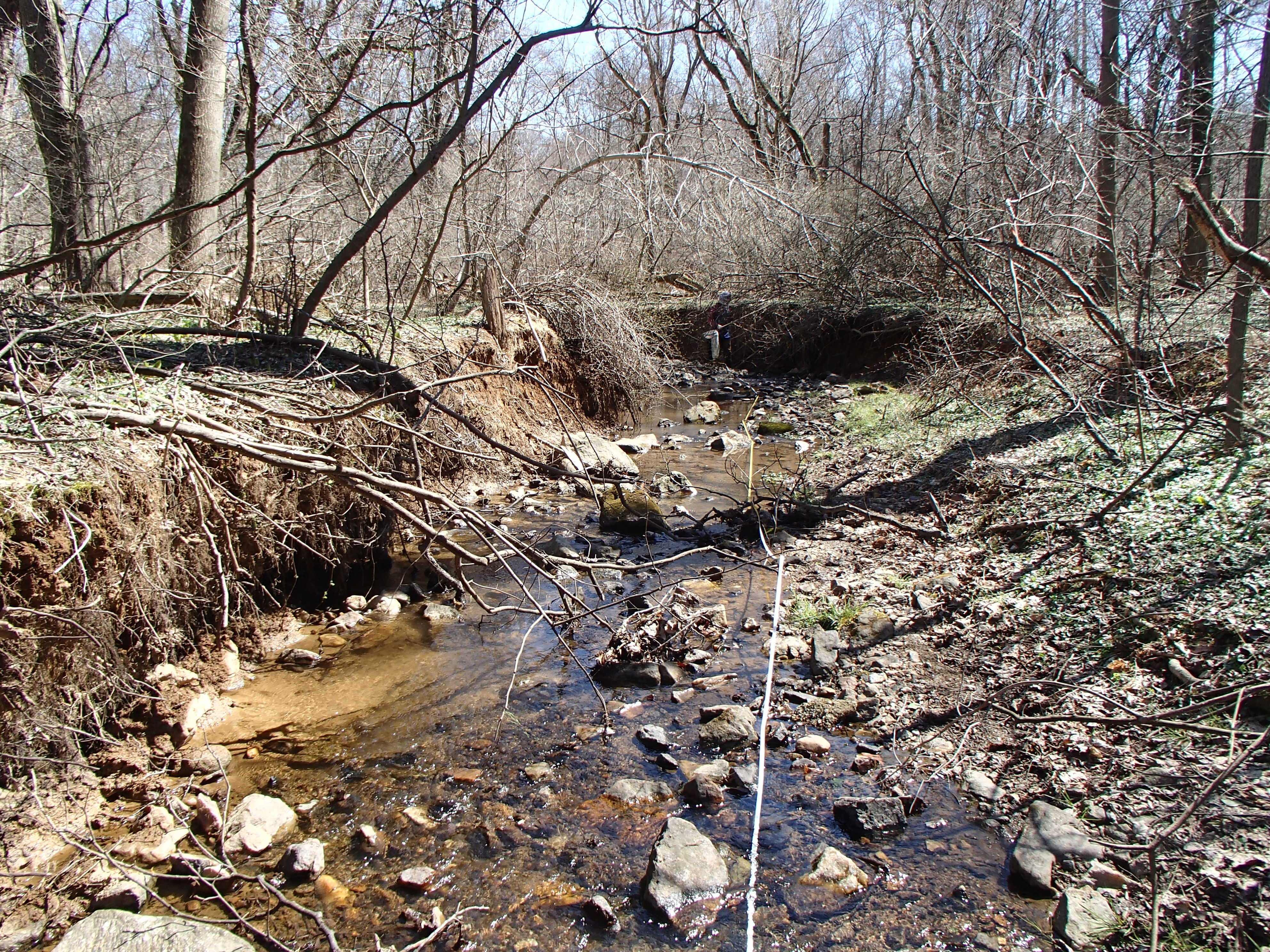 Field photo showing stream conditions at site LIGU-114-R-2017-MidpointLookingDownstream