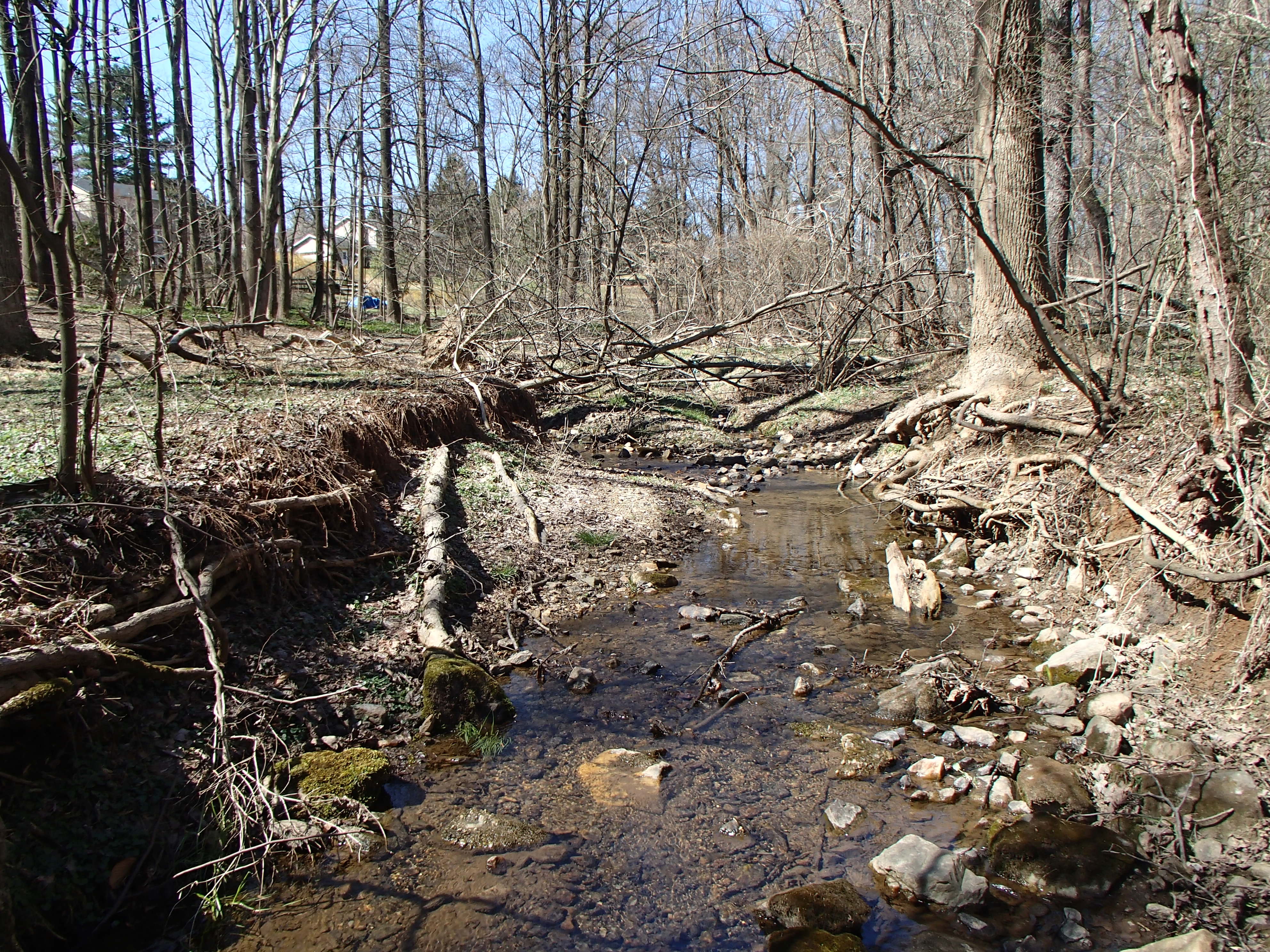 Field photo showing stream conditions at site LIGU-114-R-2017-MidpointLookingUpstream