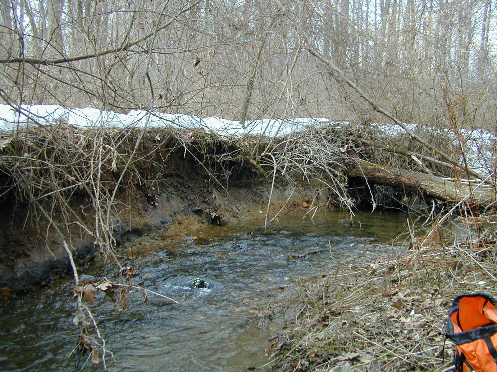 Field photo showing stream conditions at site LIGU-115-R-2003-673