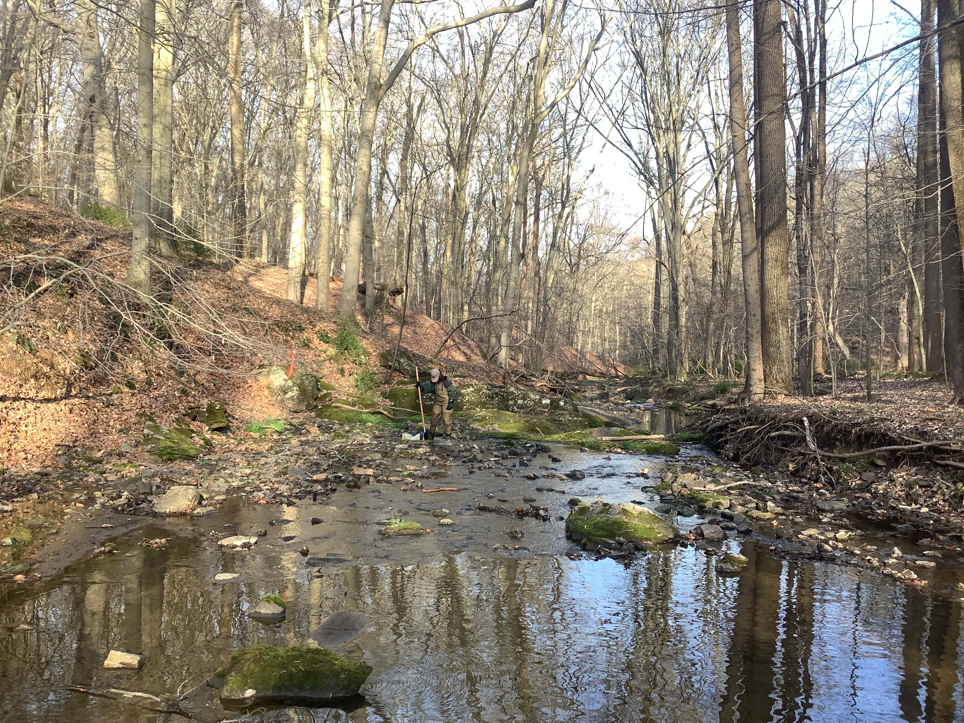 Field photo showing stream conditions at site LIGU-128-R-2023_Midpoint_facing_downstream