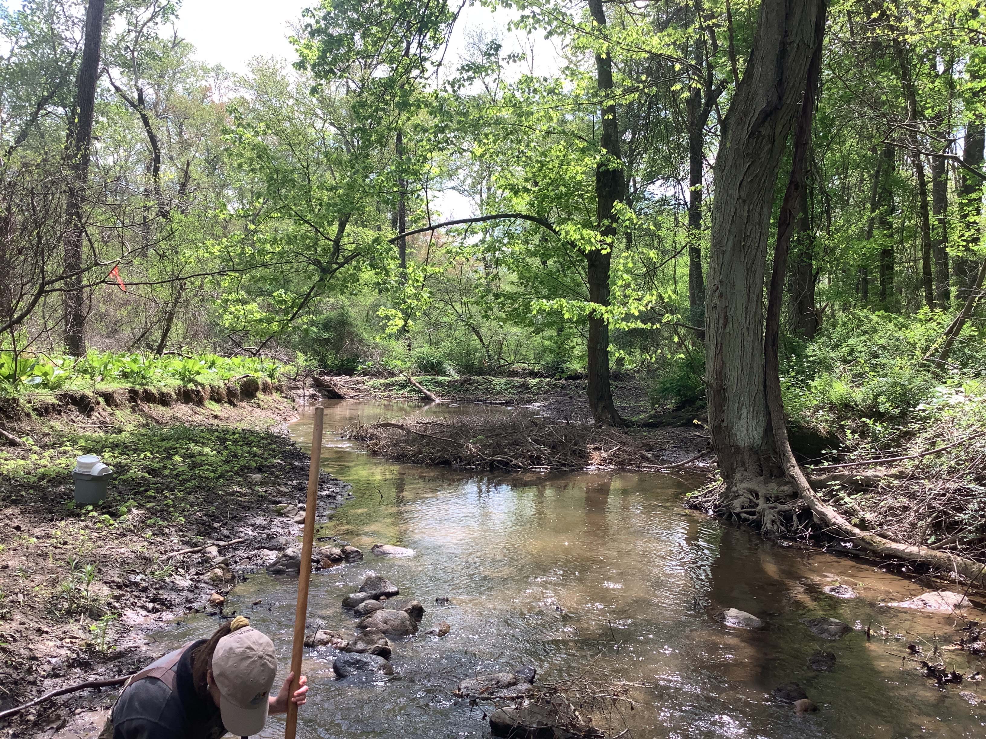 Field photo showing stream conditions at site LIGU-142-X-2023_Midpoint_facing_downstream