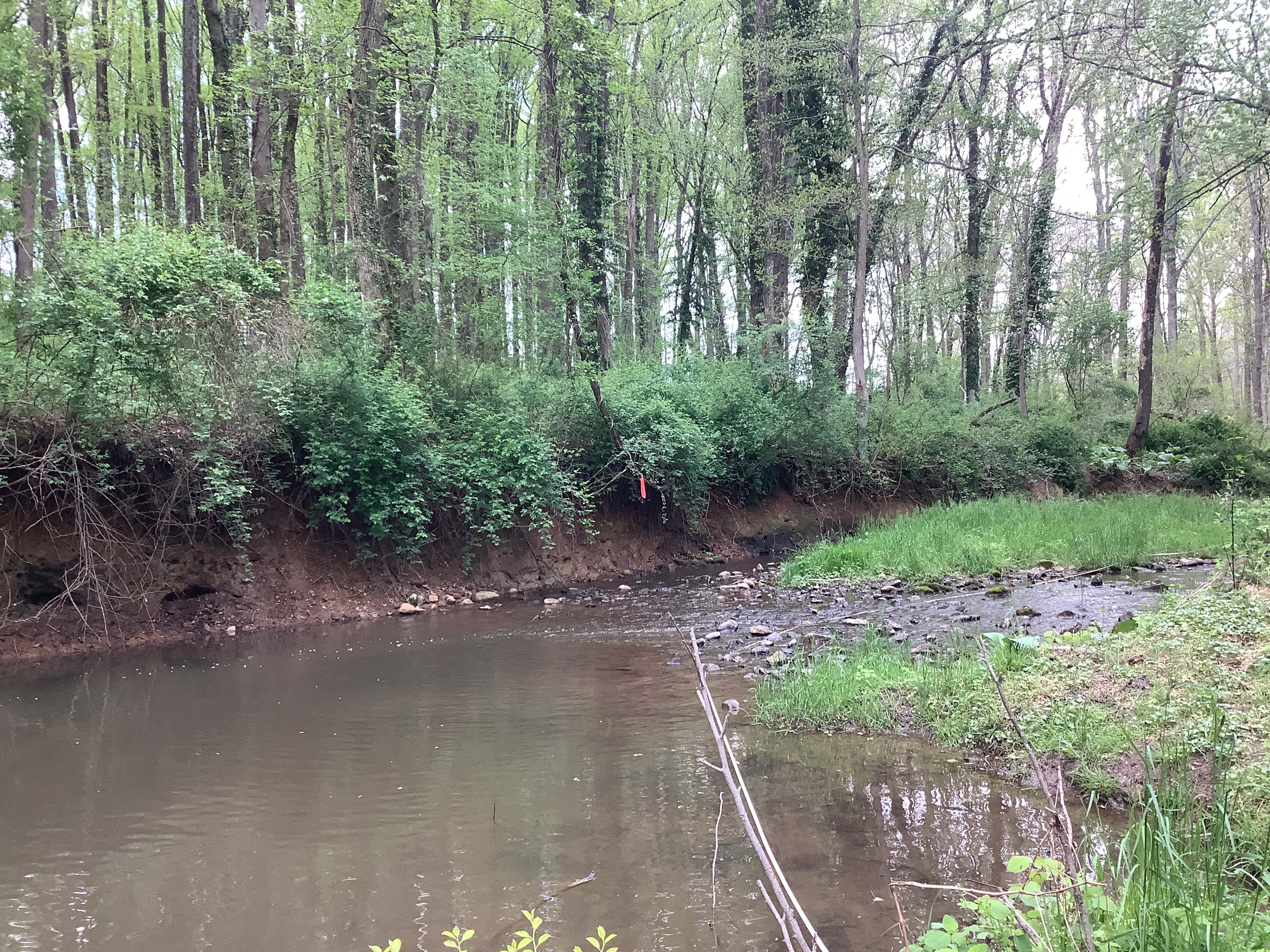 Field photo showing stream conditions at site LIGU-144-X-2023_Midpoint_facing_upstream