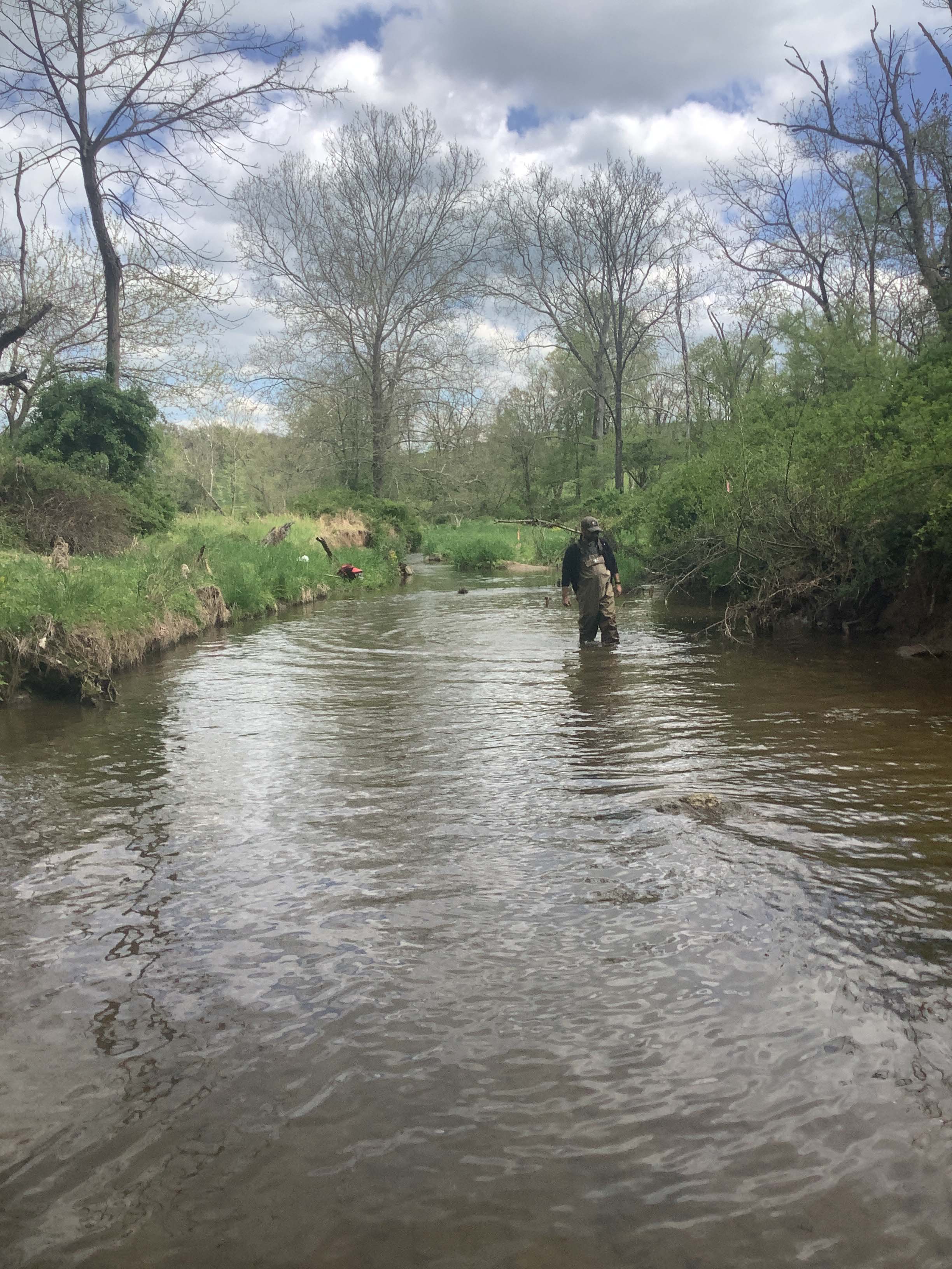 Field photo showing stream conditions at site LIGU-200-X-2023_Midpoint_facing_upstream