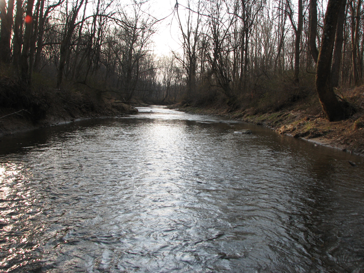 Field photo showing stream conditions at site LIGU-201-A-2008-1