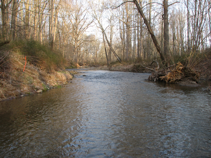 Field photo showing stream conditions at site LIGU-201-A-2008-2
