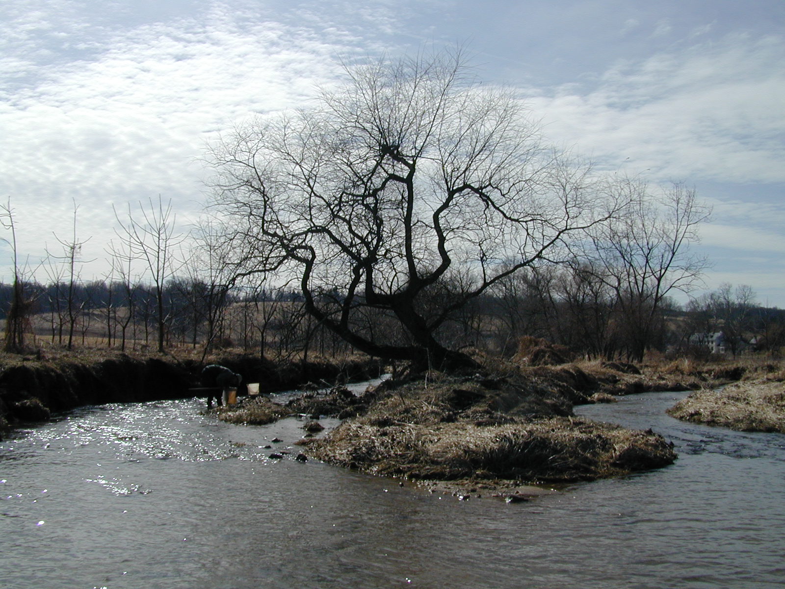 Field photo showing stream conditions at site LIGU-201-R-2001-1