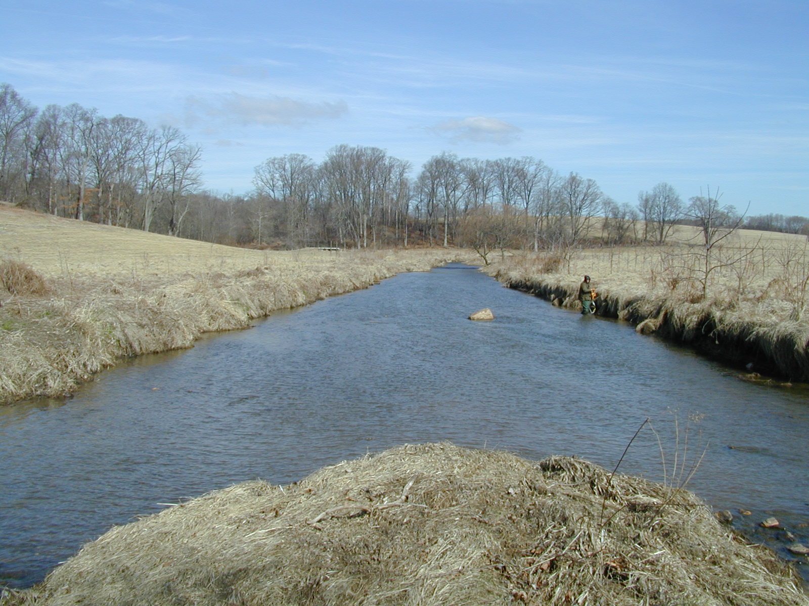 Field photo showing stream conditions at site LIGU-201-R-2001-2
