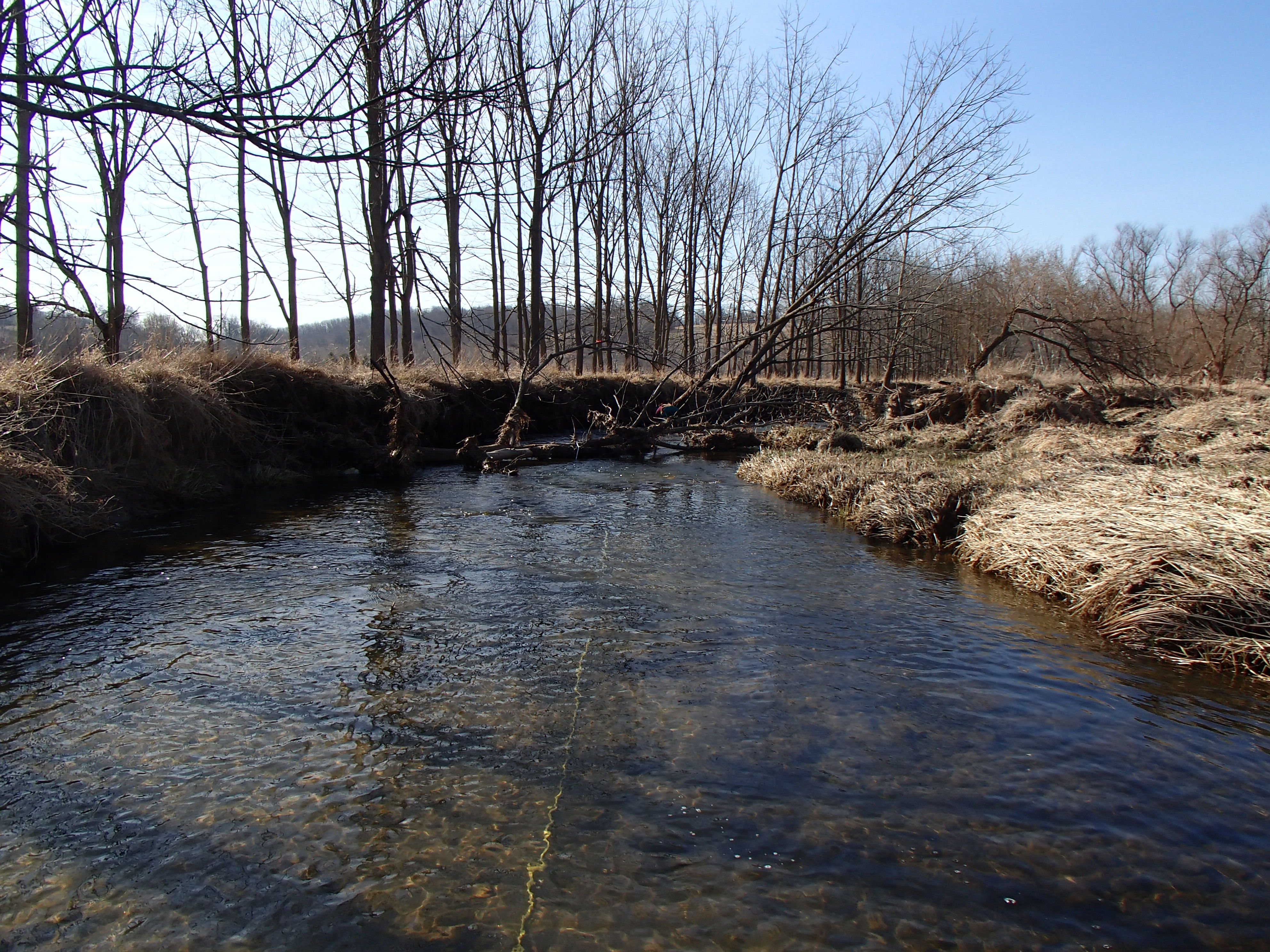 Field photo showing stream conditions at site LIGU-201-R-2015_Midpoint-downstream
