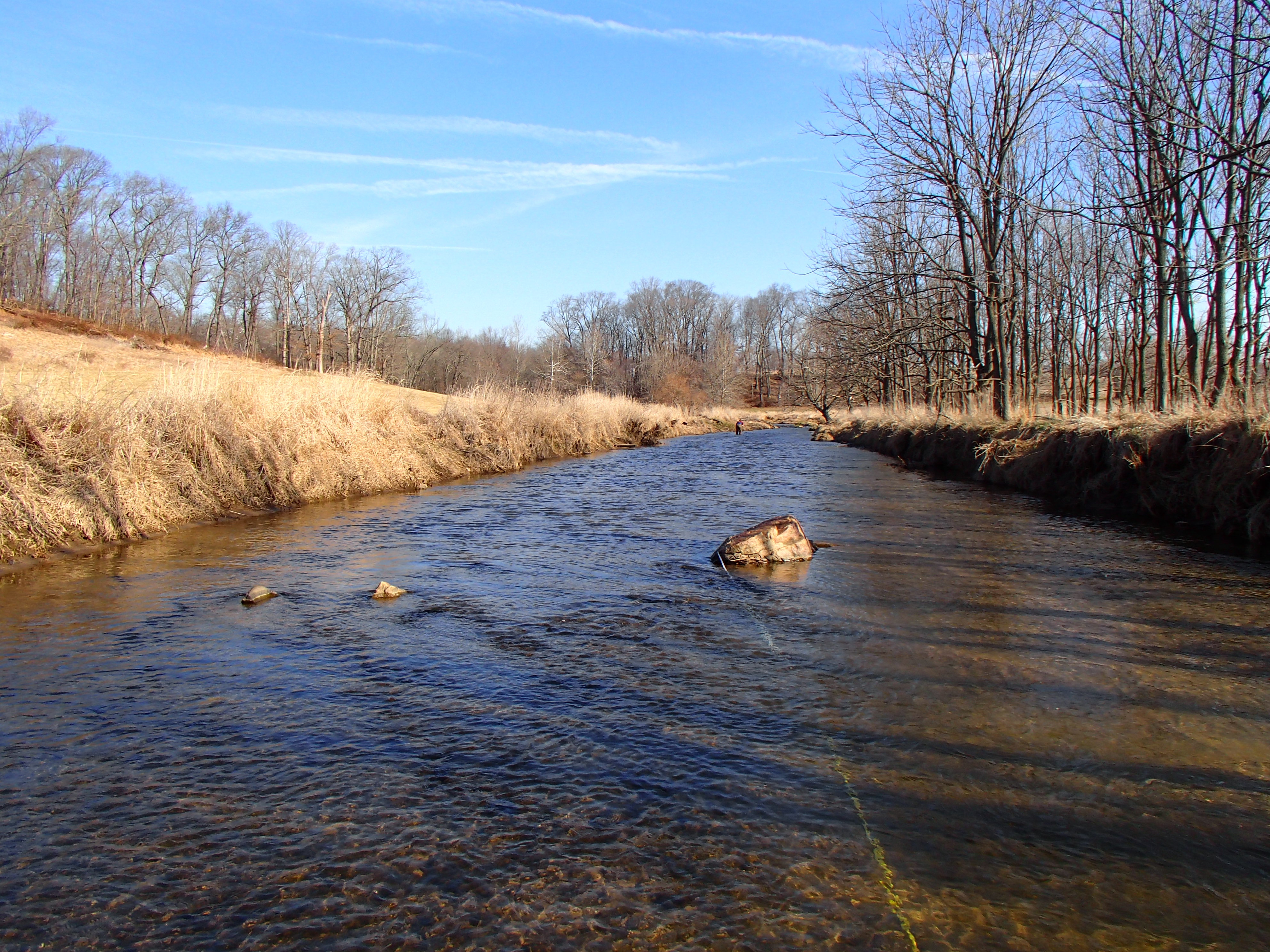 Field photo showing stream conditions at site LIGU-201-R-2015_Midpoint-upstream