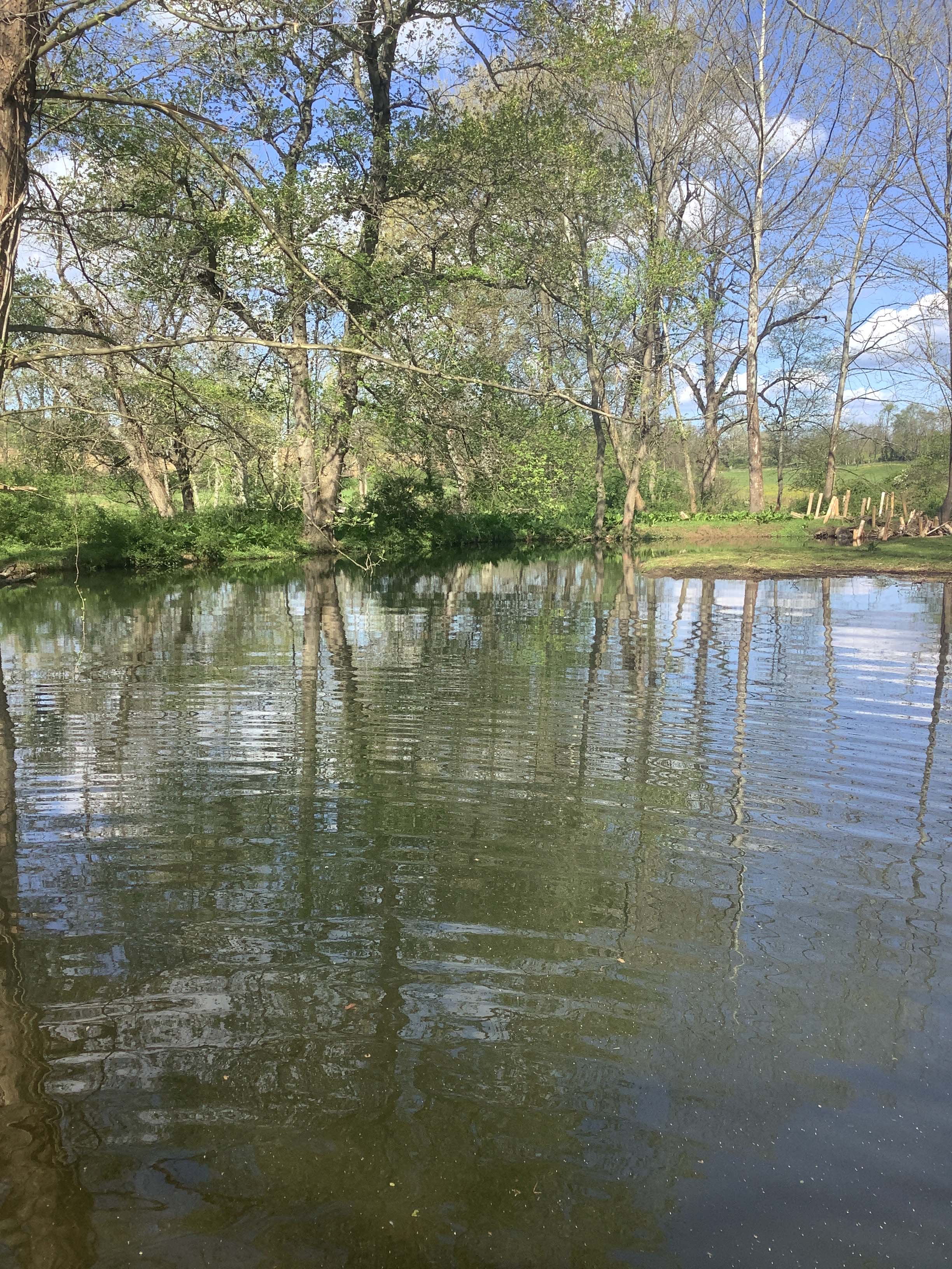 Field photo showing stream conditions at site LIGU-215-X-2023_Midpoint_facing_upstream