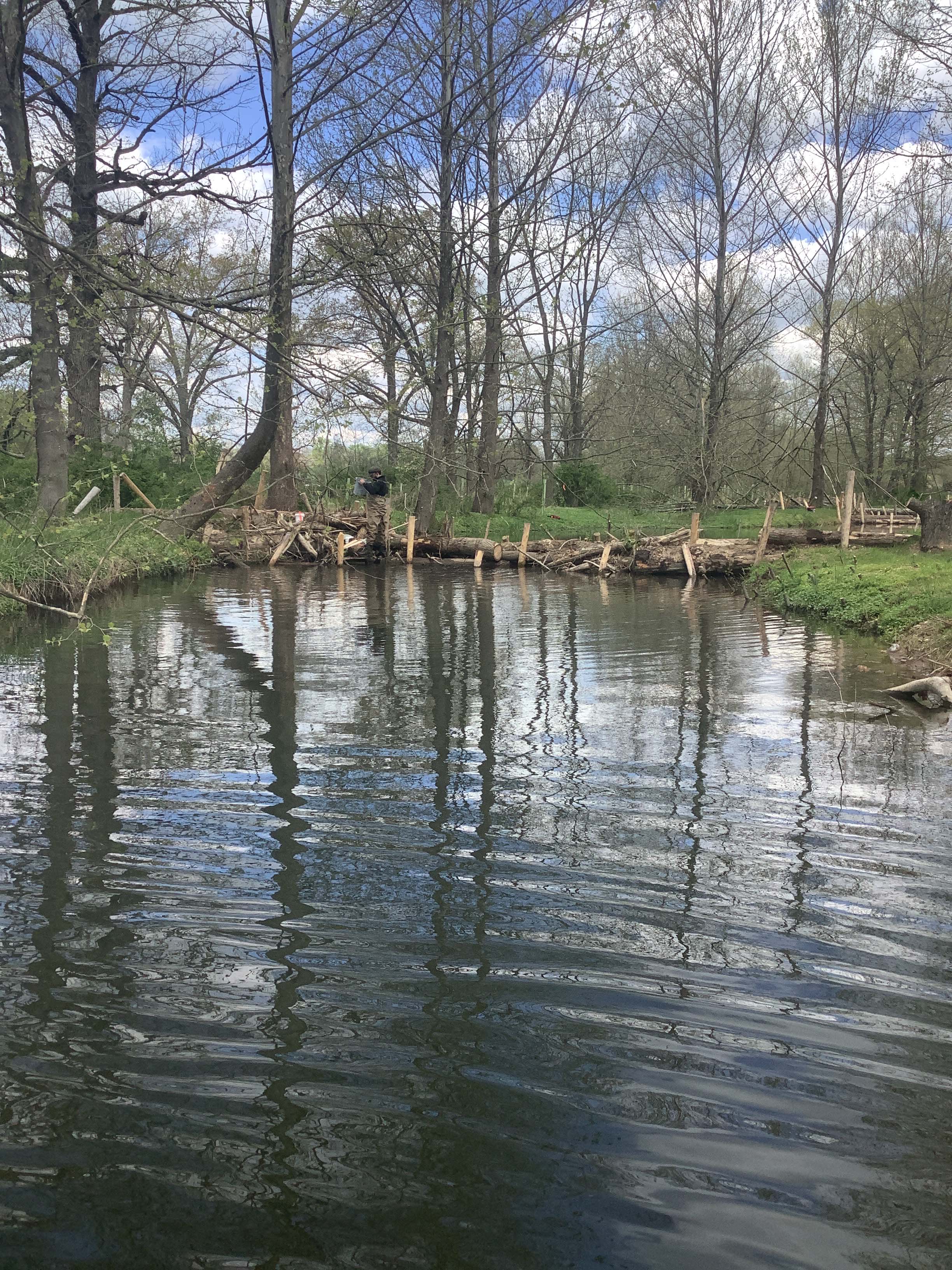 Field photo showing stream conditions at site LIGU-216-X-2023_Midpoint_facing_upstream