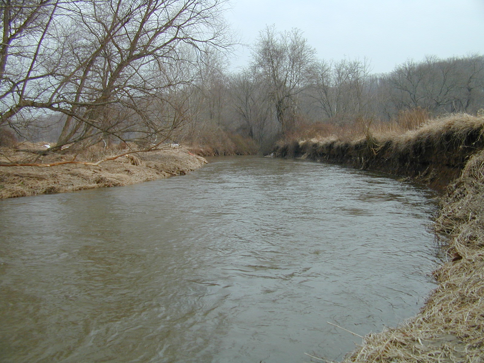 Field photo showing stream conditions at site LIGU-217-R-2003-688