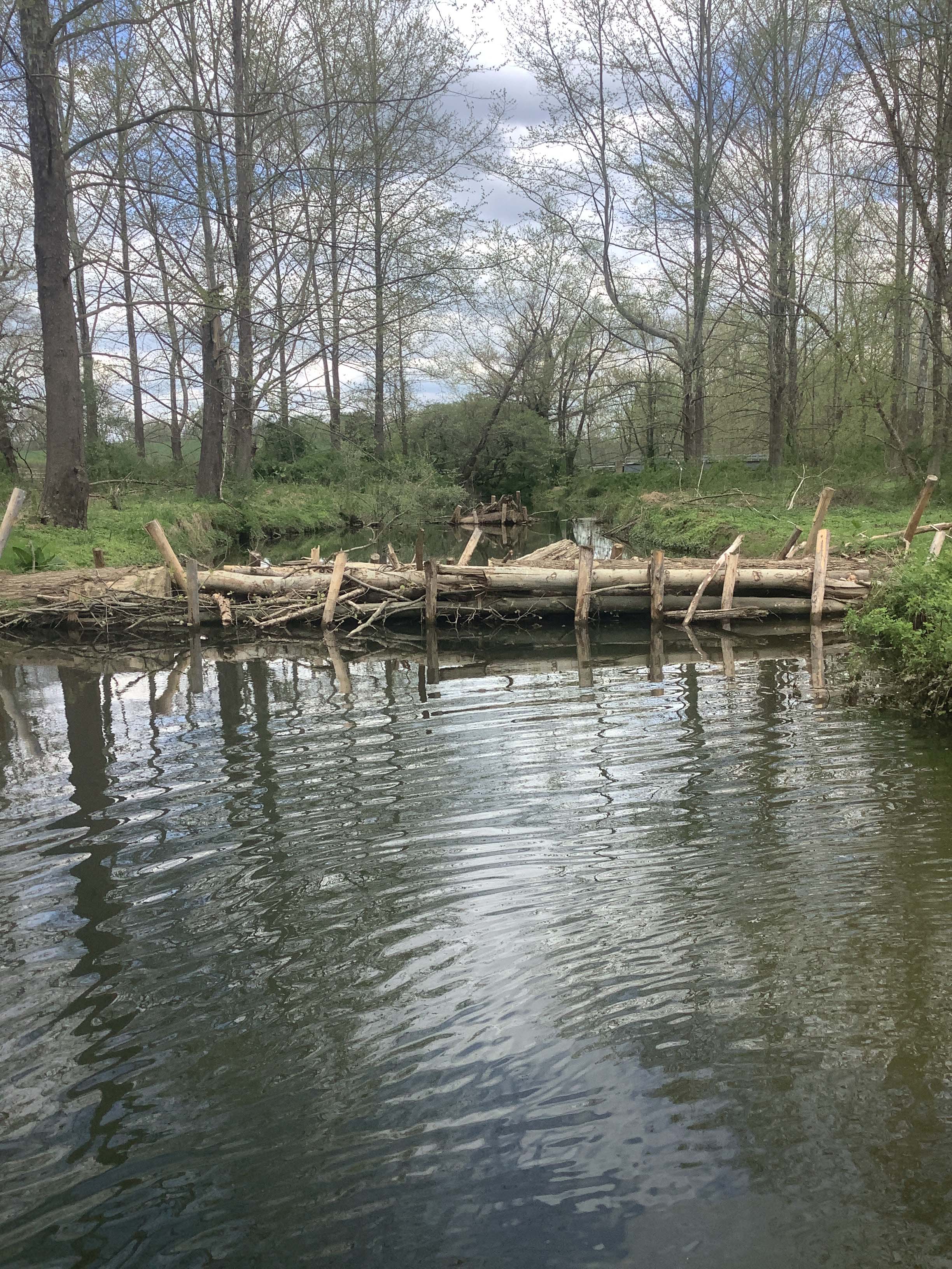 Field photo showing stream conditions at site LIGU-217-X-2023_Midpoint_facing_upstream