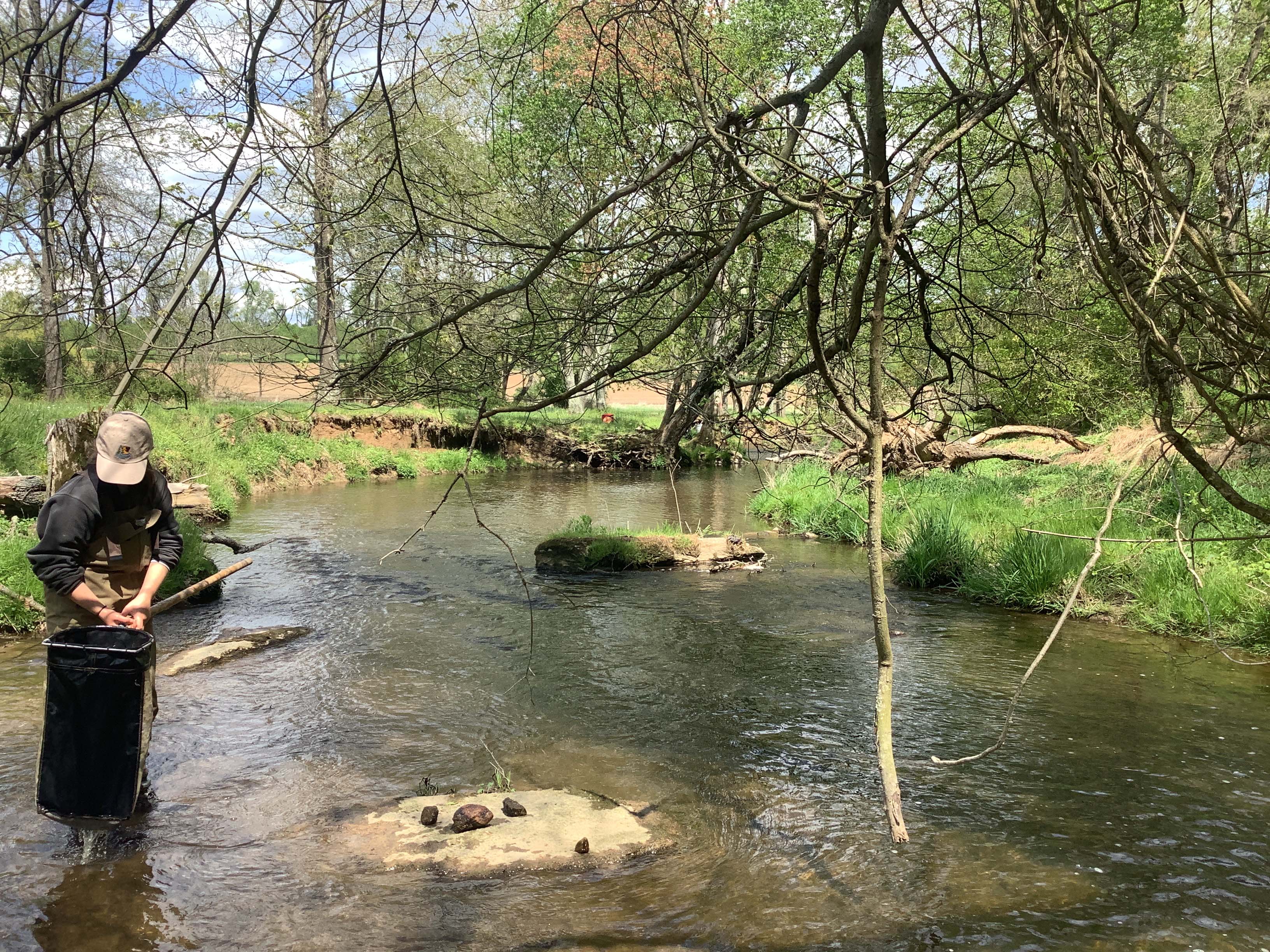 Field photo showing stream conditions at site LIGU-232-X-2023_Midpoint_looking_downstream