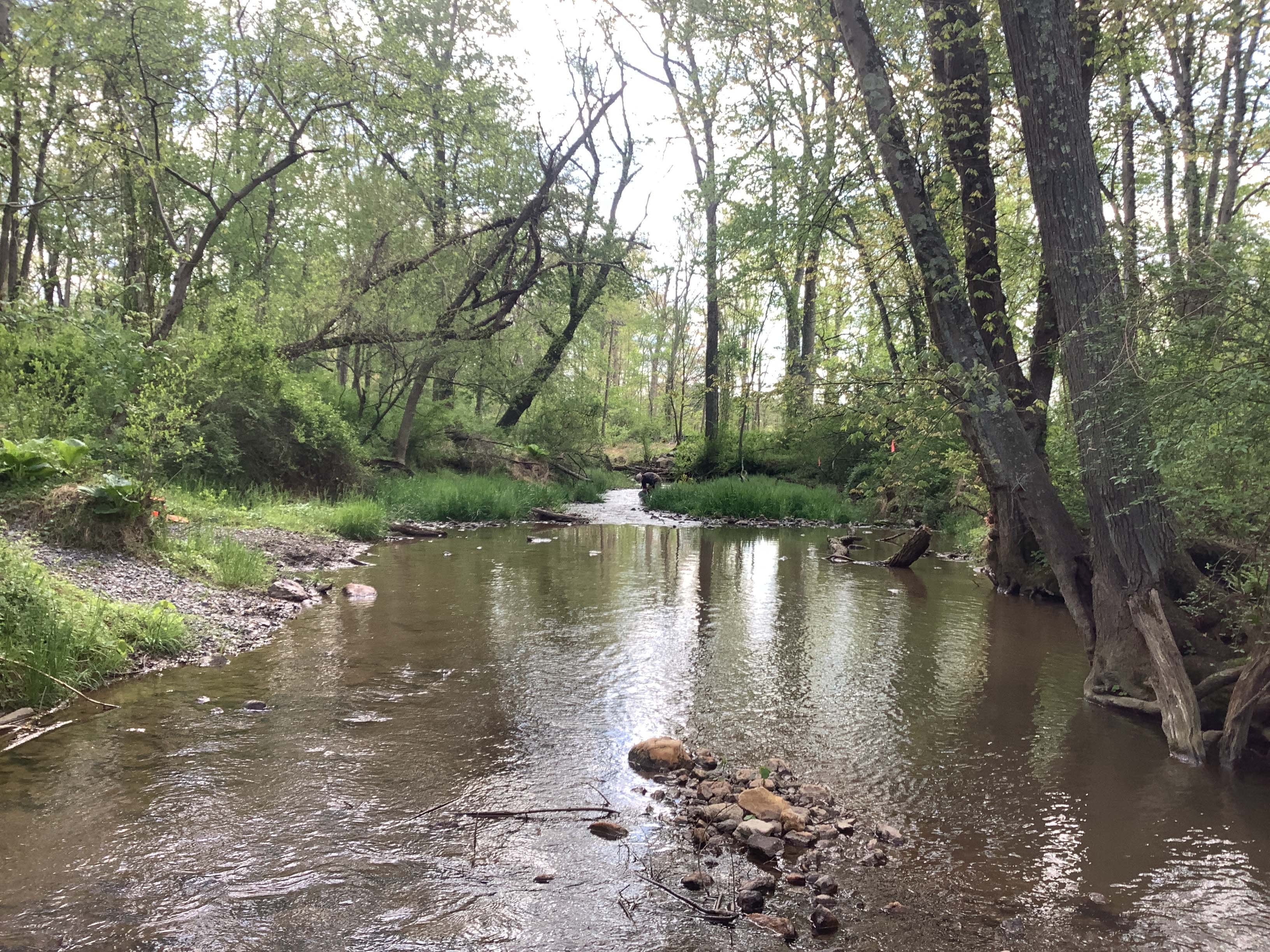 Field photo showing stream conditions at site LIGU-241-X-2023_Midpoint_facing_downstream