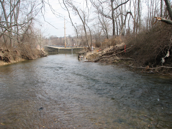 Field photo showing stream conditions at site LIGU-254-T-2007-1