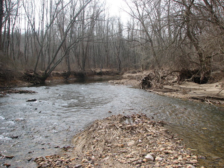 Field photo showing stream conditions at site LIGU-254-T-2007-2