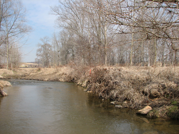 Field photo showing stream conditions at site LIGU-264-A-2007-2