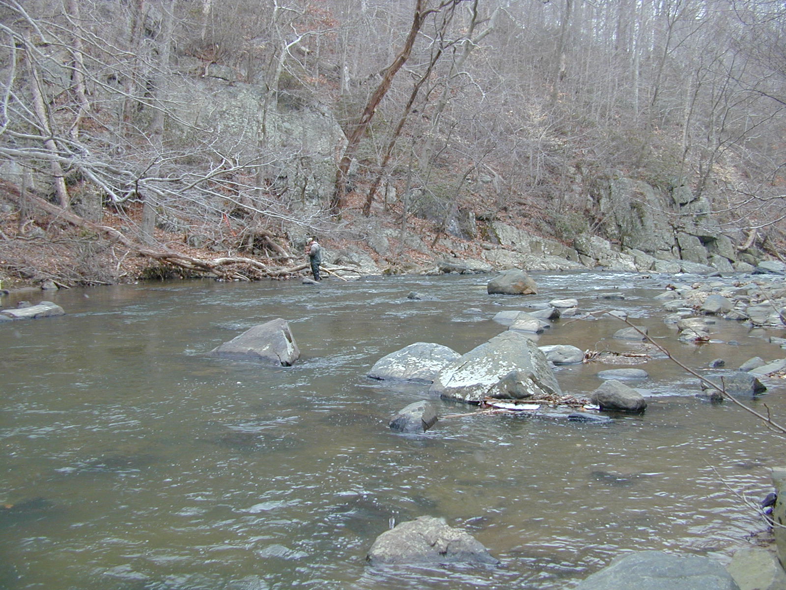 Field photo showing stream conditions at site LIGU-306-R-2001-1