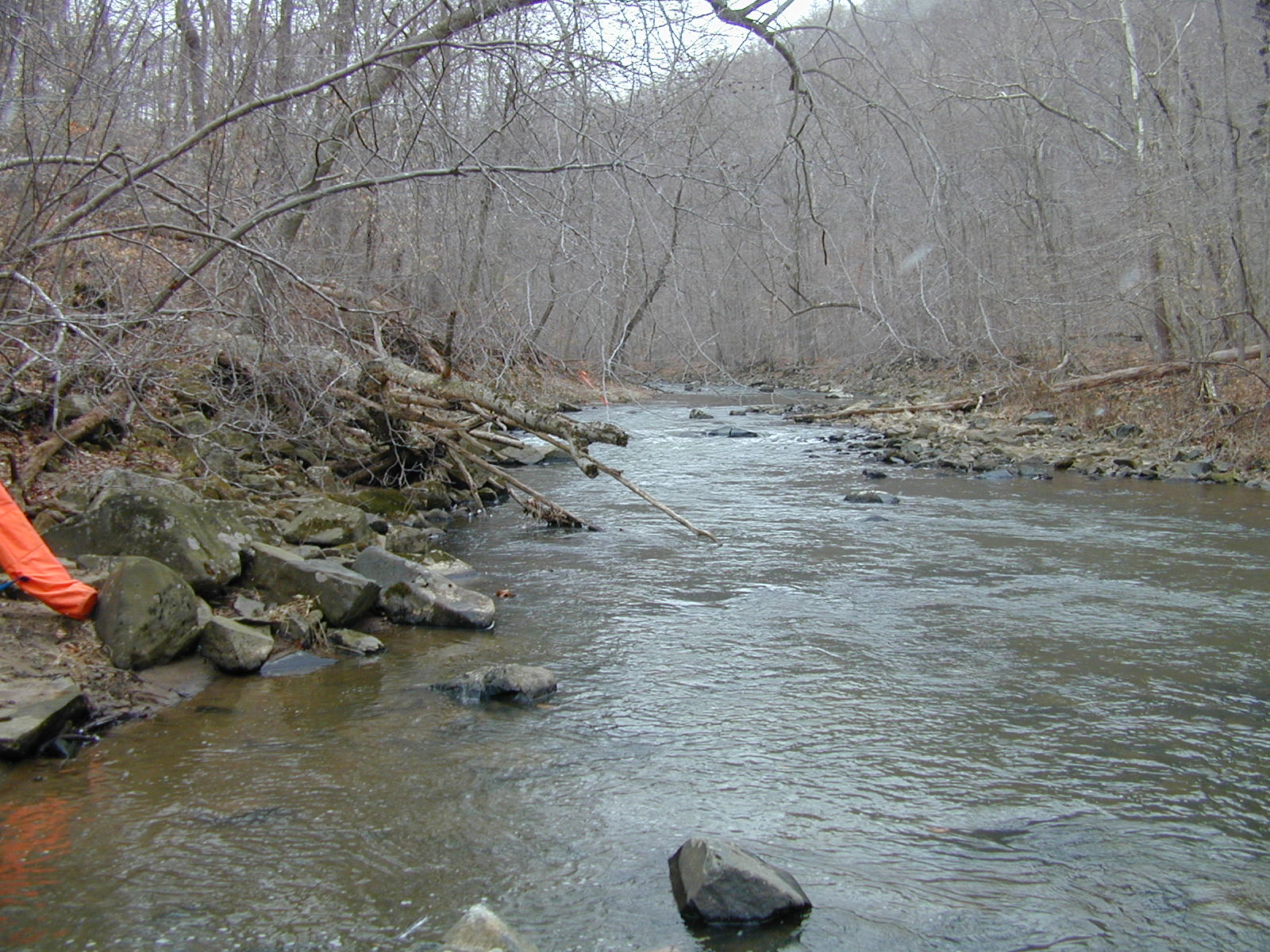 Field photo showing stream conditions at site LIGU-306-R-2001-2