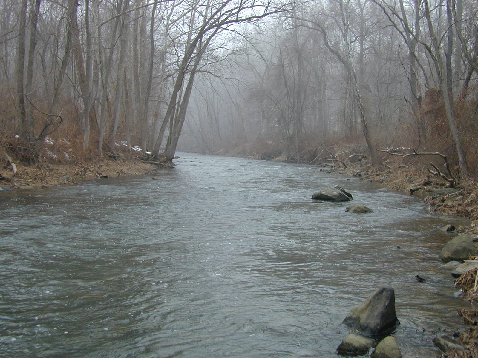 Field photo showing stream conditions at site LIGU-307-R-2003-671